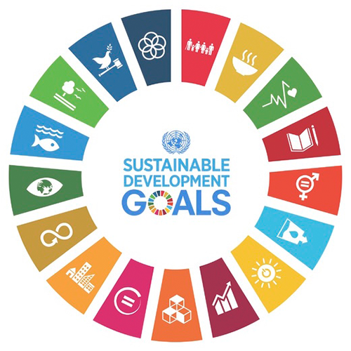 SDG 18